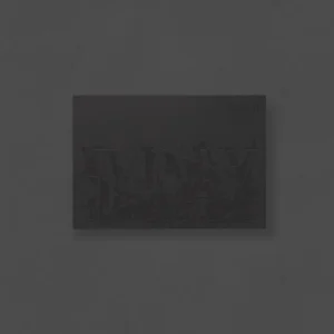 Agust D (アガストディー) - D-DAY (Weverse アルバムs バージョン)