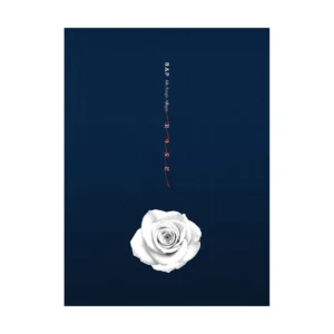 B.A.P - 6th シングル・アルバム Rose (B バージョン)