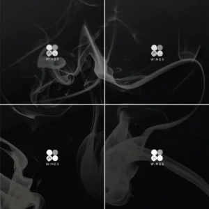 BTS (防彈少年團, バンタン) - WINGS (2nd アルバム)