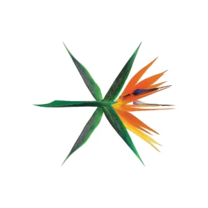 EXO - 4th アルバム The War (Korean バージョン)