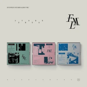 SEVENTEEN (セブンティーン) - FML (Fallen, Mistif, Lost バージョン) (10th ミニアルバム)