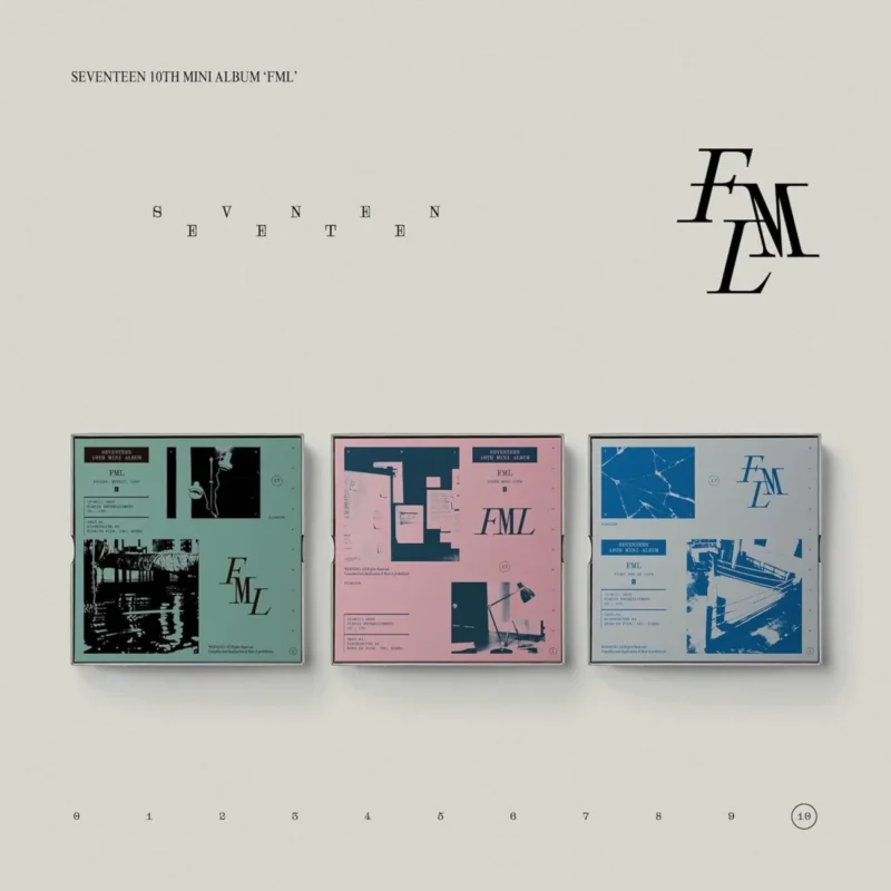 SEVENTEEN (セブンティーン) - FML (Fallen, Mistif, Lost バージョン) (10th ミニアルバム)
