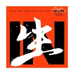 Stray Kids (ストレイキッズ, スキズ) - IN LIFE (通常版 A バージョン) (1st アルバム リパッケージ)