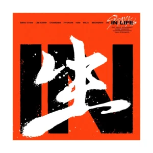 Stray Kids (ストレイキッズ, スキズ) - IN LIFE (通常版 B バージョン) (1st アルバム リパッケージ)