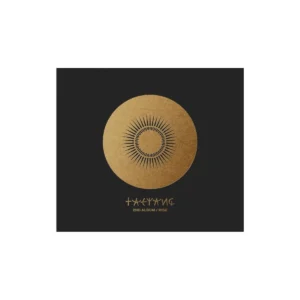 Taeyang - 2nd アルバム Rise
