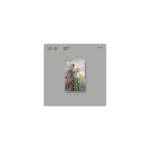 YESUNG (イェソン) - 5th ミニアルバム Unfading Sense (Tape バージョン)