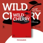 ICHILLIN’ (アイチリン)- WILD CHERRY (POCA ALBUM) (4th Mini Album)